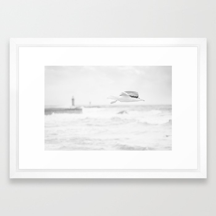 Sea - Flight Framed Art Print by Ingrid Beddoes Photography - Vector White - SMALL-15x21 - Image 0