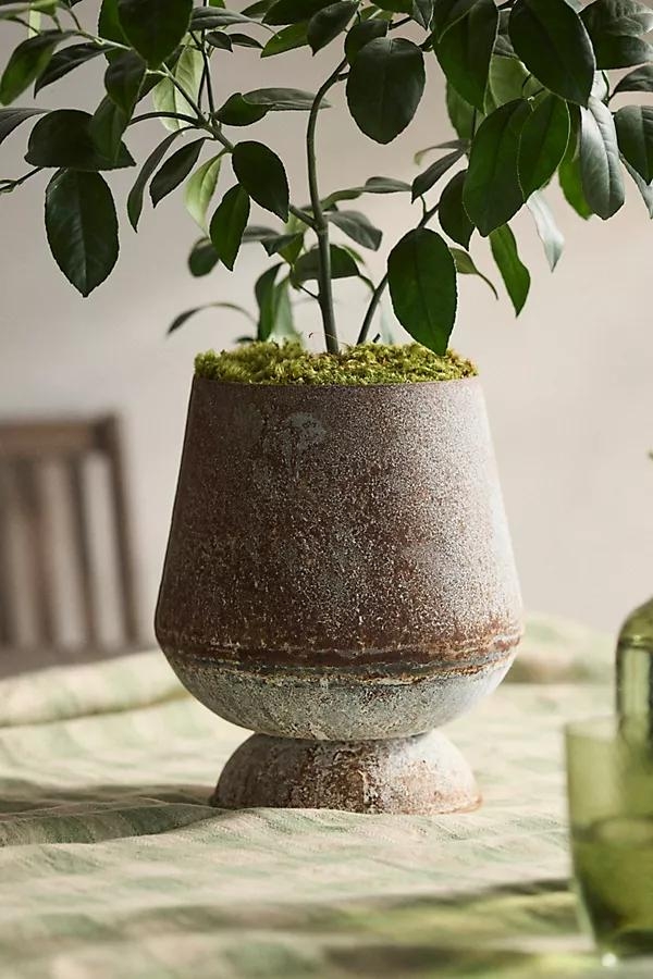 Iron Tapered Urn Planter - Image 0