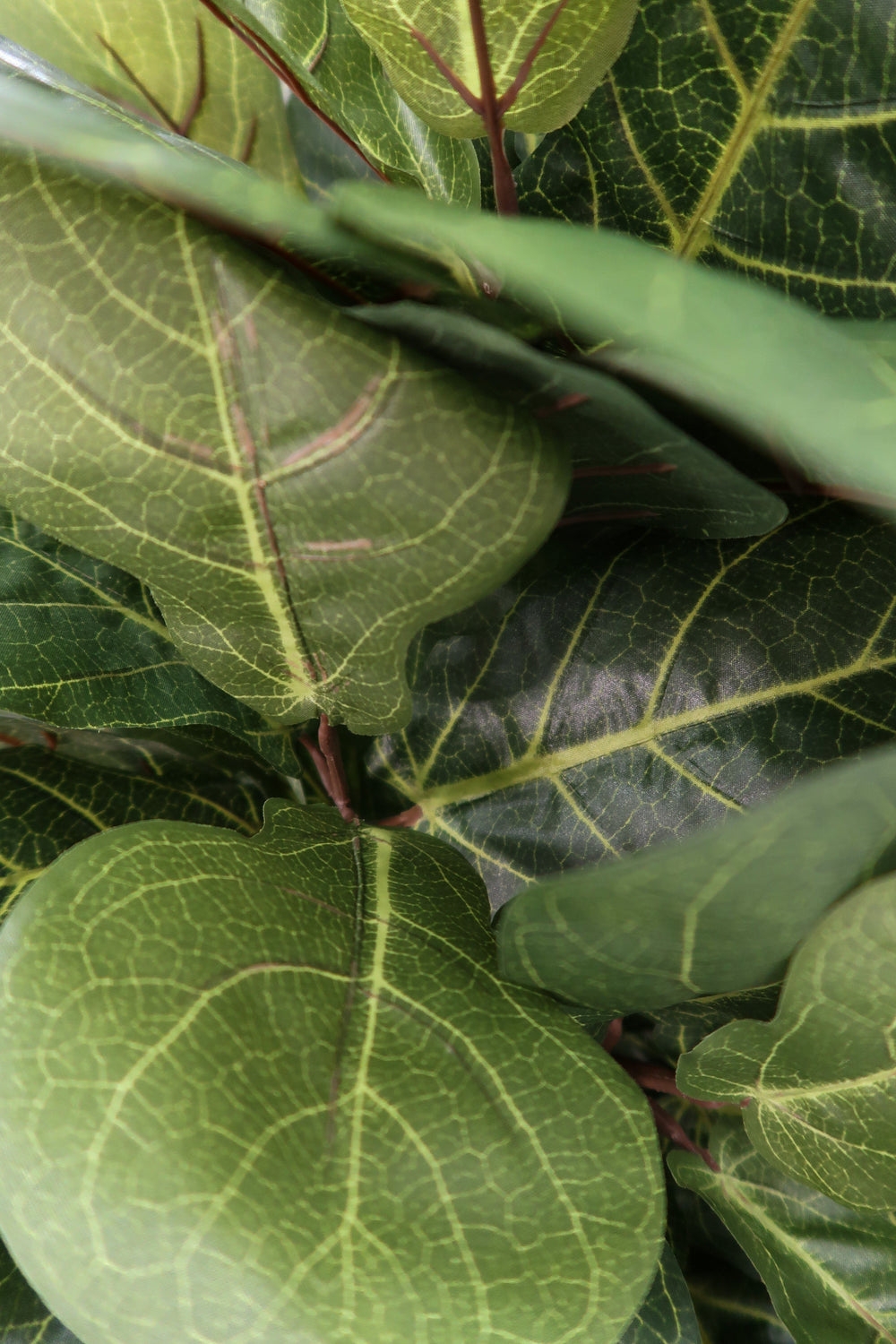 Faux Fiddle Leaf Fig Tree, 6' - Image 4