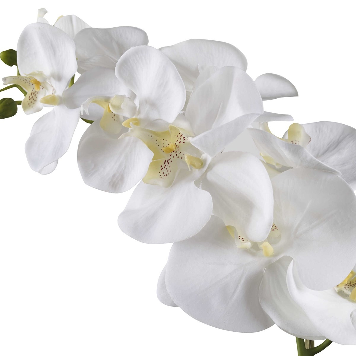 Cami Faux Orchid, White Ceramic Pot - Image 3