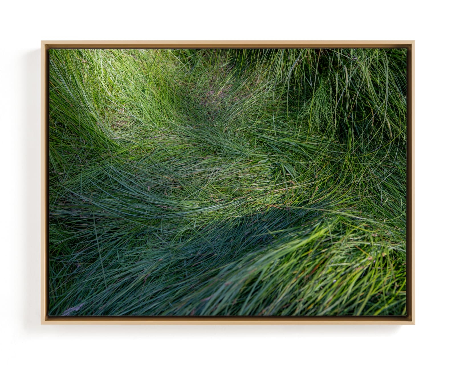 A Deer Slept Here. Limited Edition Fine Art Print 2 - Image 0