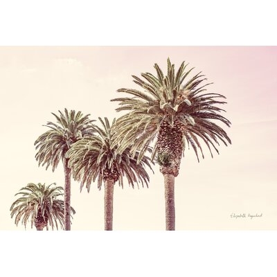 Pastel Palms by Elizabeth Urquhart - Print - Image 0