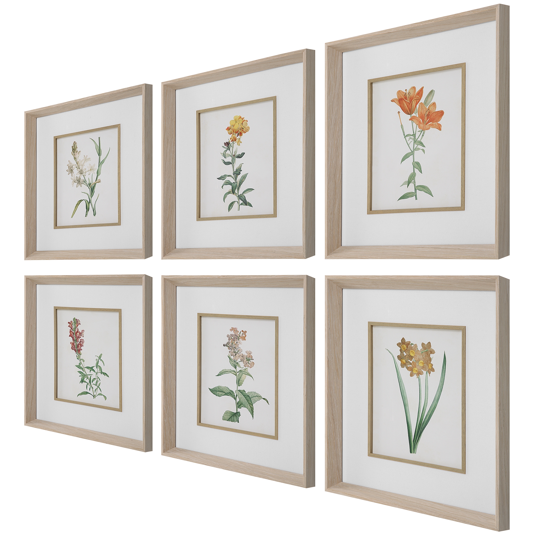 Classic Botanicals Framed Prints Set/6 - Image 3