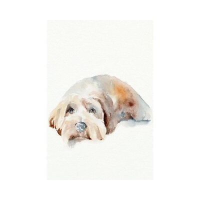 Scruffy Puppy II - Wrapped Canvas Print - Image 0