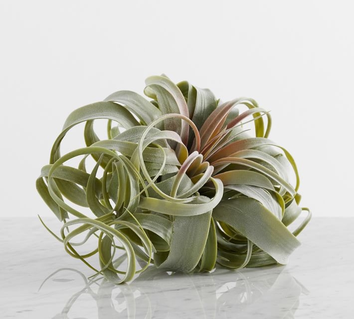 Faux Succulent Stems,Oversized Air Plant, Green - Image 2