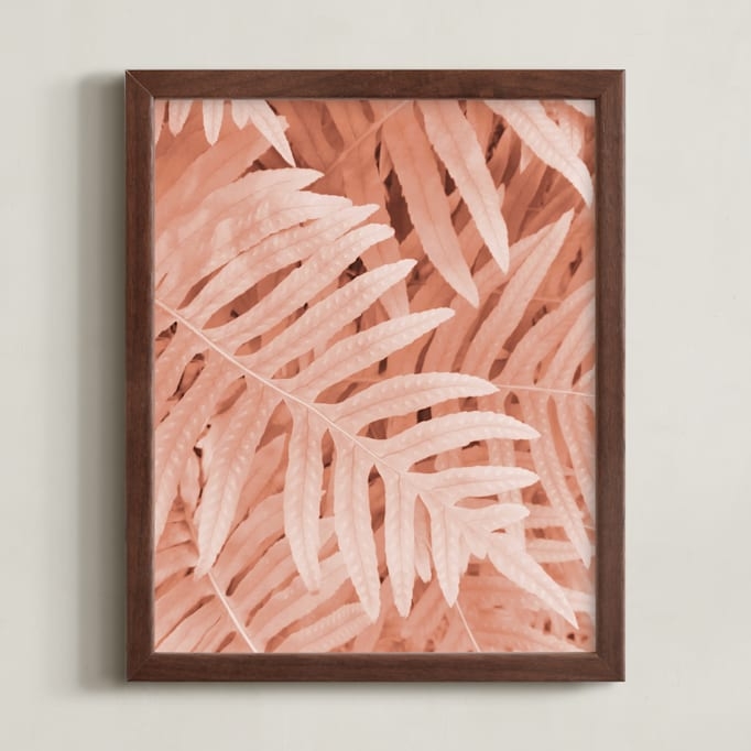 Pink Ferns Limited Edition Fine Art Print 2 - Image 0