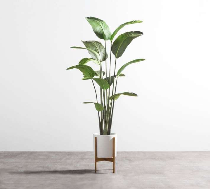 Faux Bird Of Paradise Plant With 12 Leaves, 6.25' - Image 3