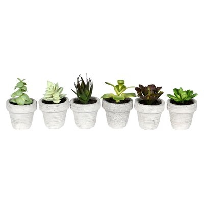 6 Artificial Succulent in Pot Set - Image 0