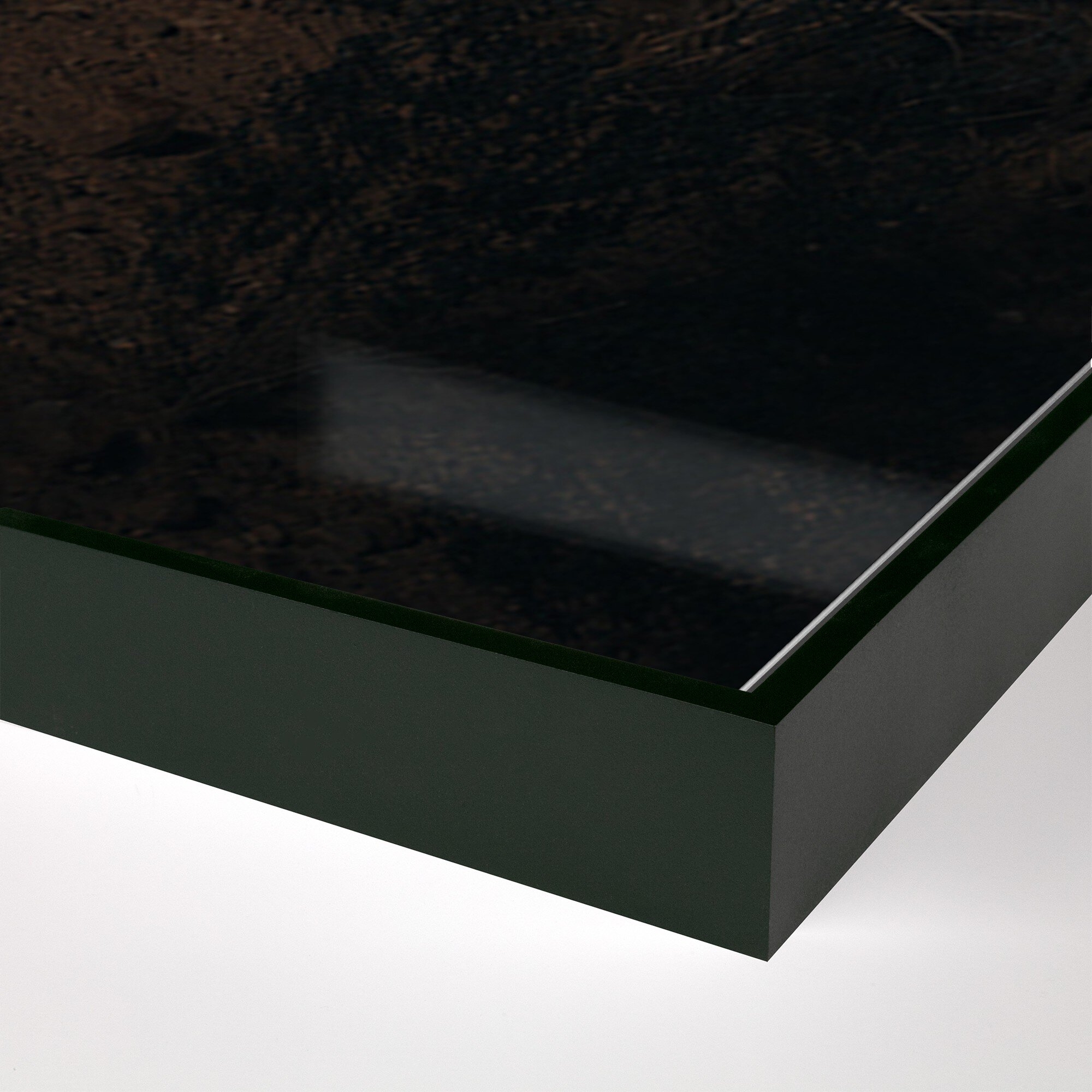 Ocotillo II by Mandy Steinback - Black Maple Floater - Image 1