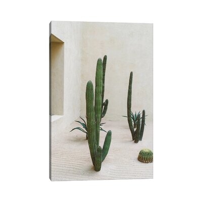 Cabo Cactus VI by Bethany Young - Gallery-Wrapped Canvas Giclée - Image 0