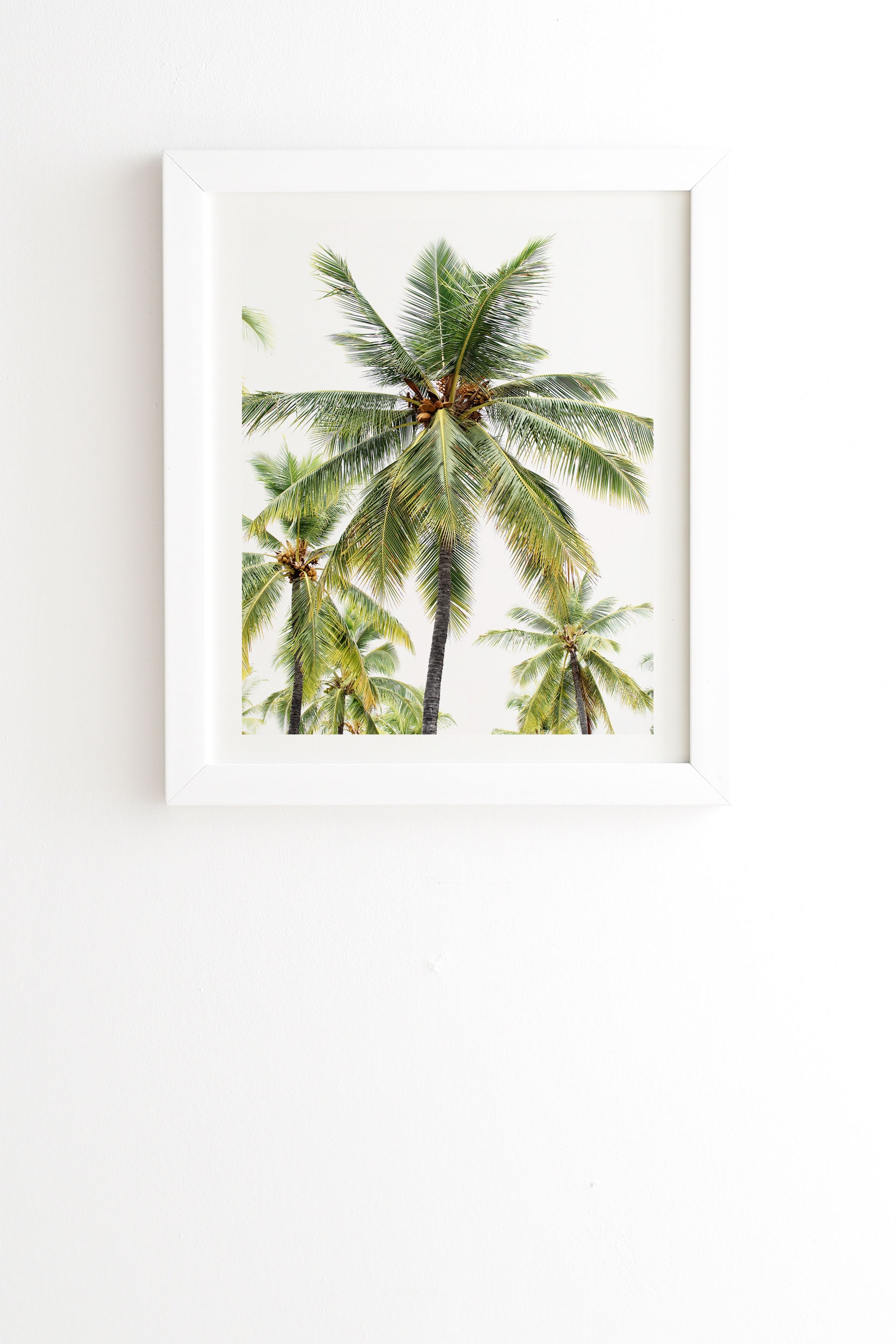 Coconut Palms by Bree Madden - Framed Wall Art Basic White 8" x 9.5" - Image 0