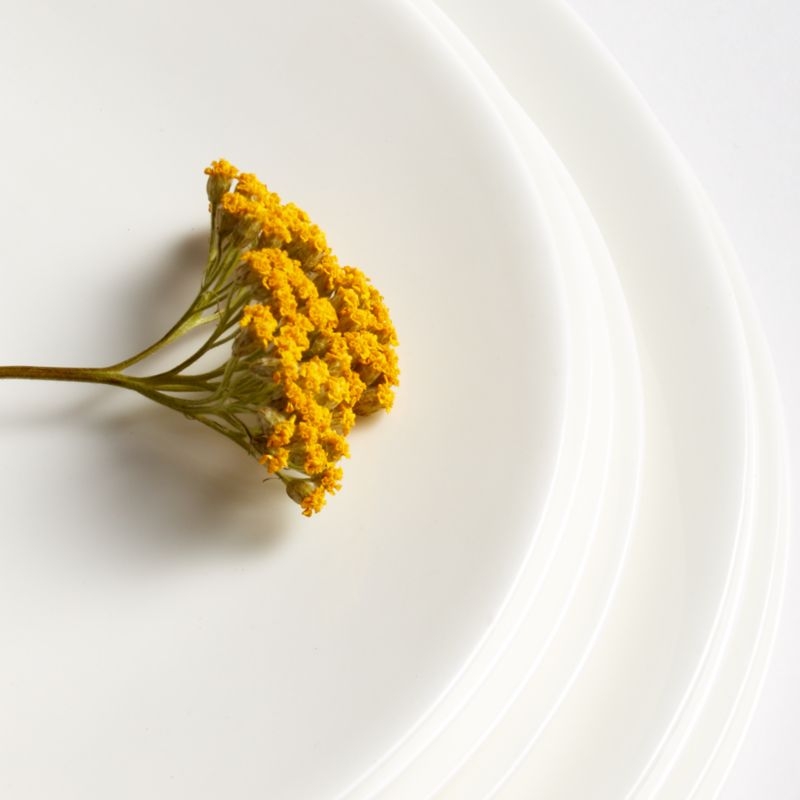 Bennett White Bone China Salad Plate - Image 3
