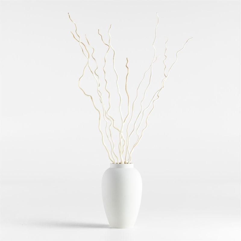 Dried Curly Willow Branches, Set of 5 - Image 2