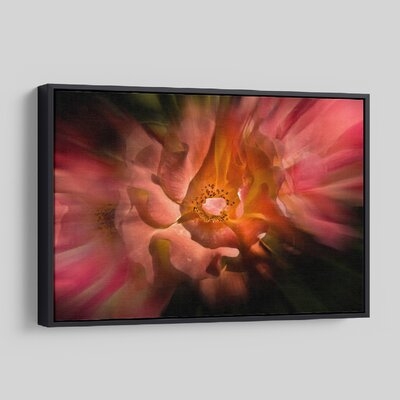 'Backyard Flowers 40 ' - Photographic Print On Wrapped Canvas - Image 0