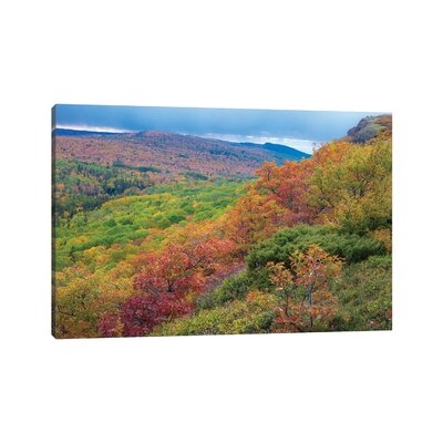 Brockway Fall by Kevin Clifford - Gallery-Wrapped Canvas Giclée - Image 0