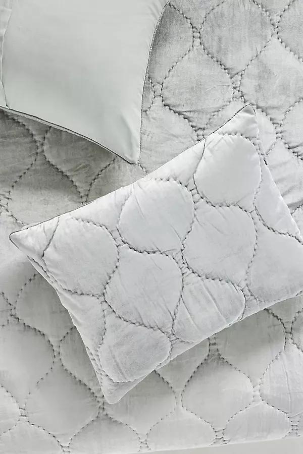 Claire Cotton Velvet Satin Shams, Set of 2 - Image 0