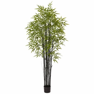 Bamboo Tree in Pot - Image 0