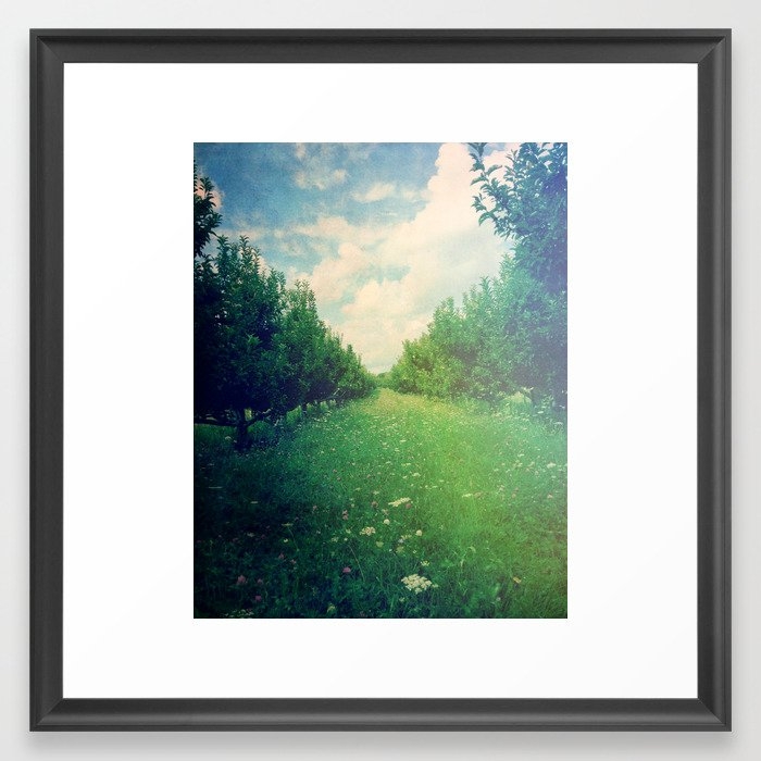 Apple Orchard In Spring Framed Art Print by Olivia Joy St Claire X  Modern Photograp - Scoop Black - Medium(Gallery) 20" x 20"-22x22 - Image 0
