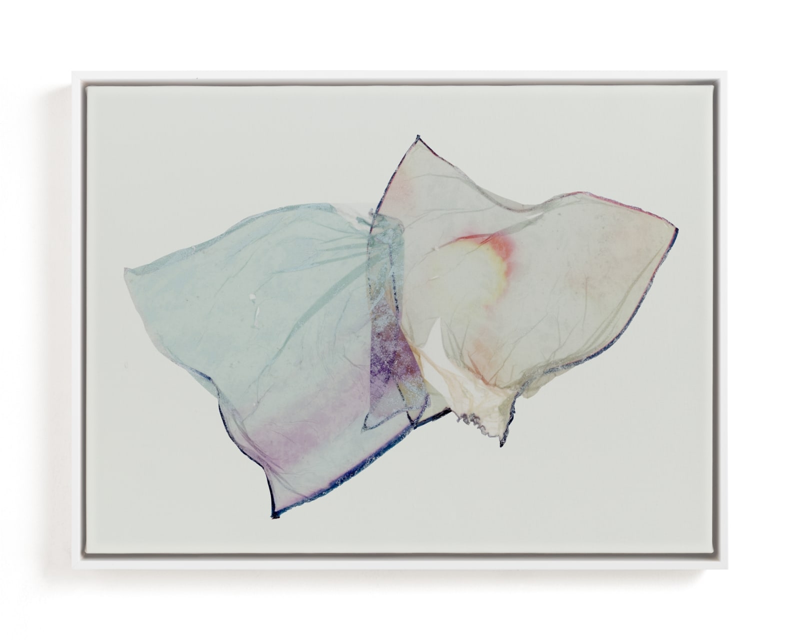 Snagged Limited Edition Fine Art Print 2 - Image 0