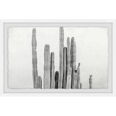 'Long and Short Cacti' - Picture Frame Graphic Art Print on Paper - Image 0