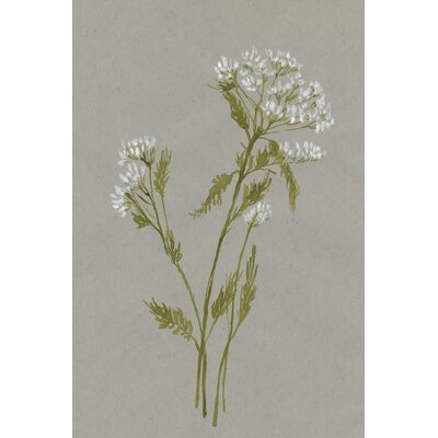 White Field Flowers III - Image 0