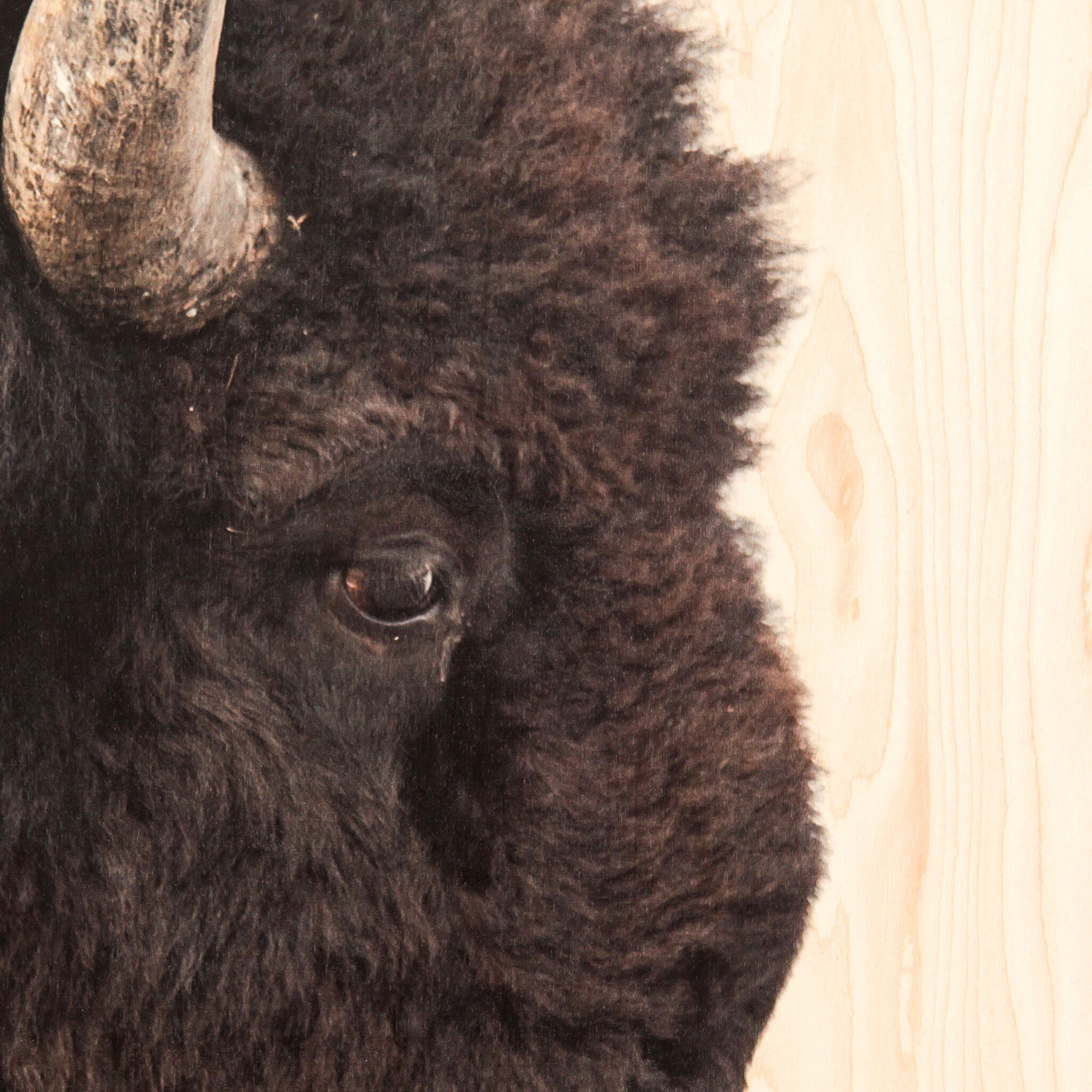 American Bison by Getty Images - Maple Box - Image 3