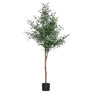 Faux Olive Tree In Pot, 63" - Image 0