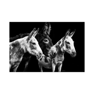 Donkey Portrait II - Image 0