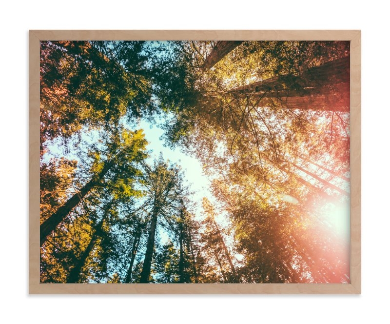 Redwoods Surround Me Limited Edition Fine Art Print 1 - Image 0