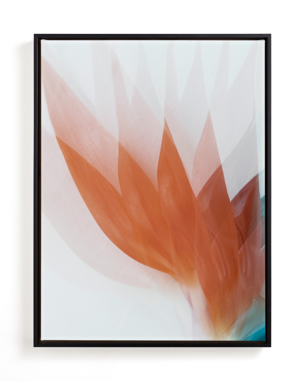 California Darling Limited Edition Fine Art Print 2 - Image 0