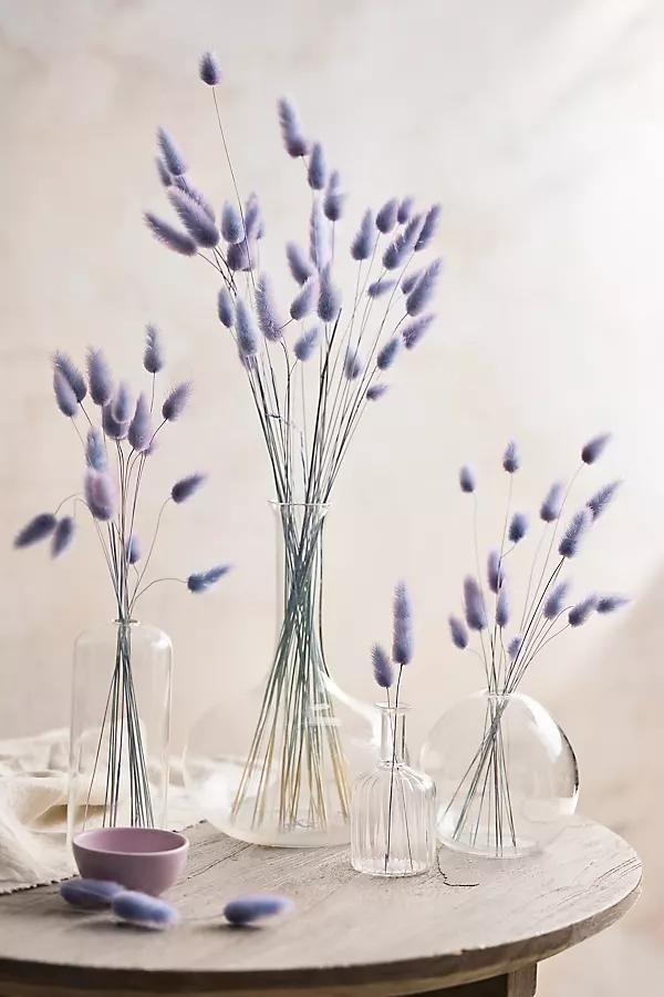 Preserved Two Tone Bunny Tails Bunch - Image 0