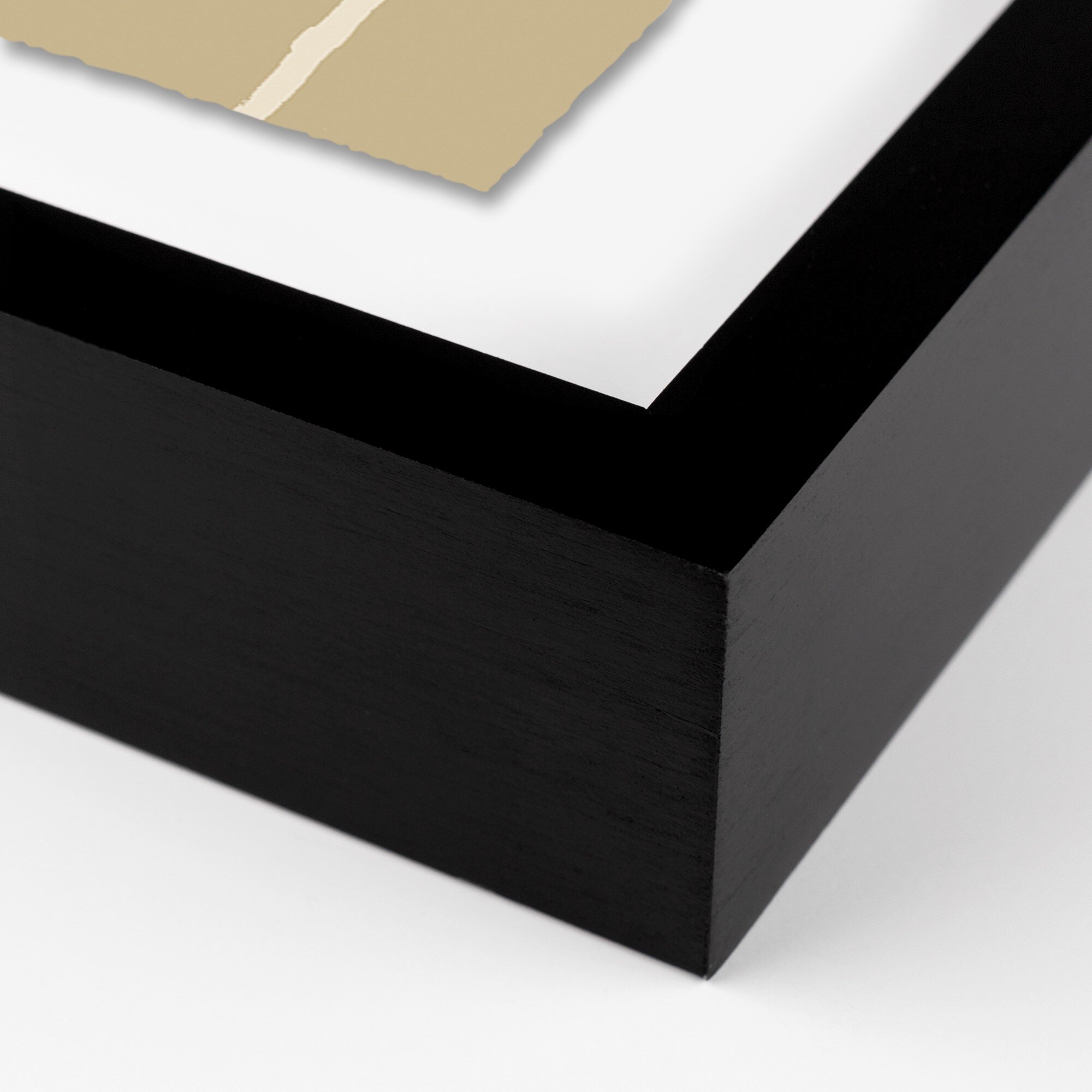 Stems 4 by Fox Studios - Black - Image 1