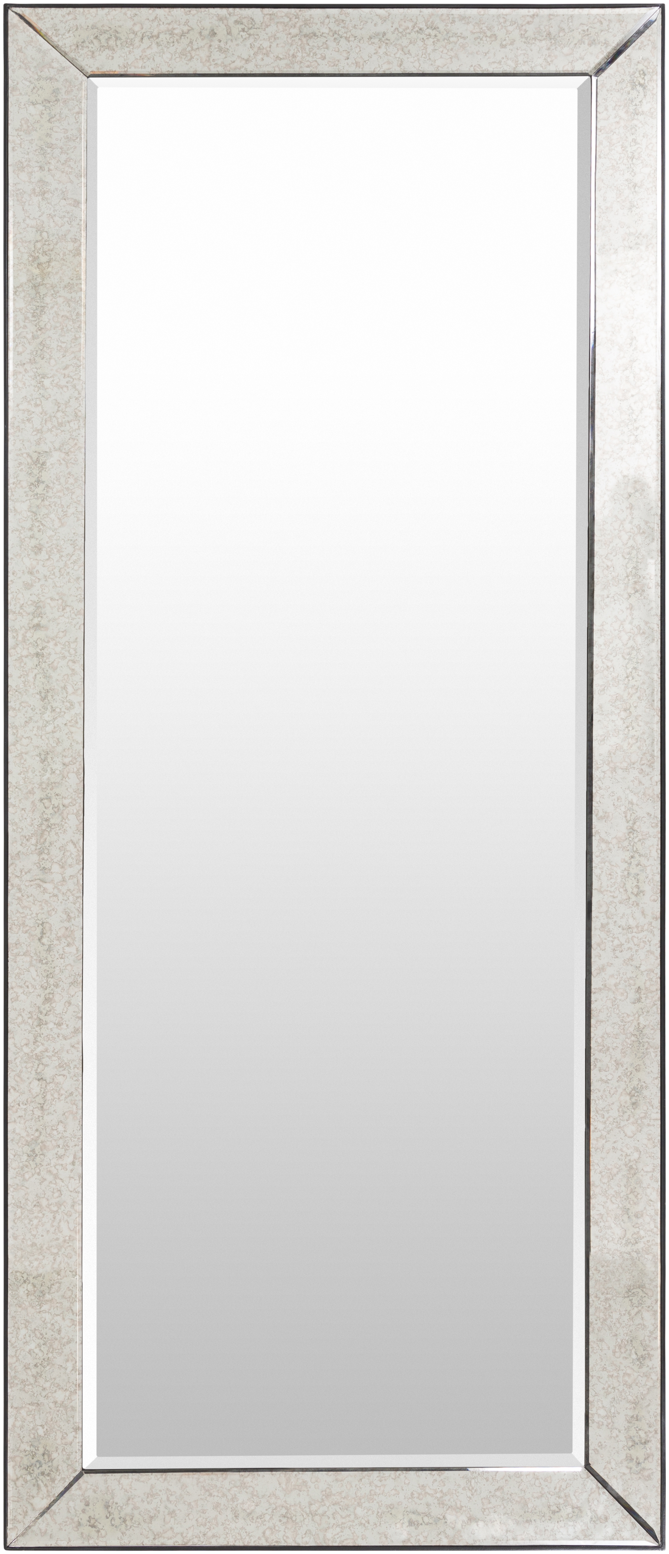 Calloway Metallic - Silver 72"H x 30"W x 2"D Full Length Mirror - Image 0