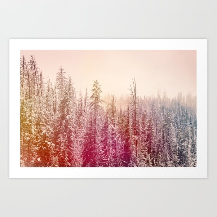 Rainbow Forest Art Print by Christina Lynn Williams - X-Large - Image 0