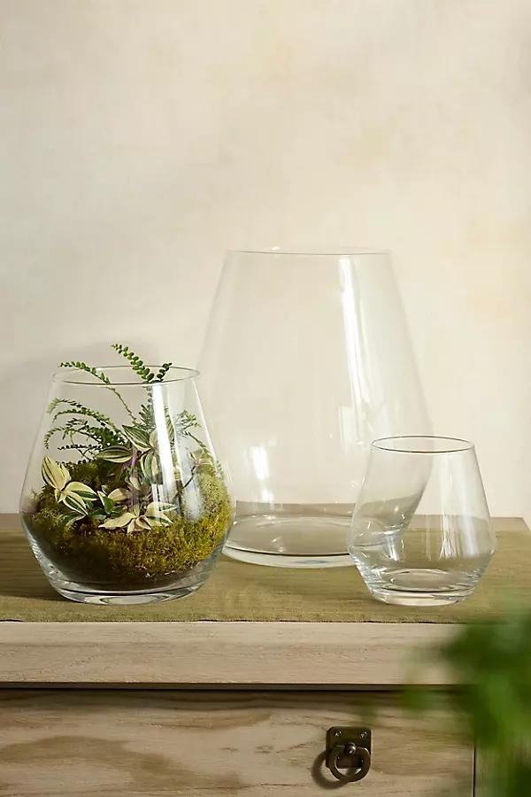 Arja Glass Terrarium - Image 0