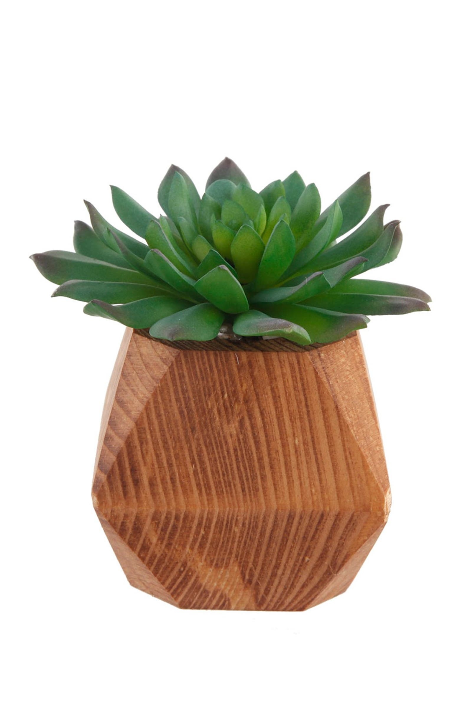Faux Succulent in Wood Pot, 4.5", Set of 2 - Image 4