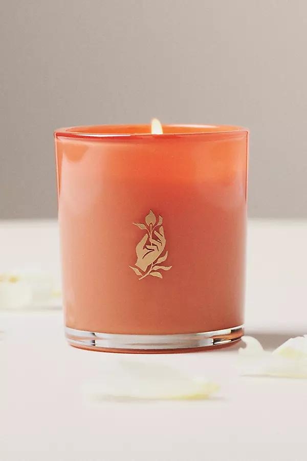 Fruity Mimosa Glass Candle - Image 0