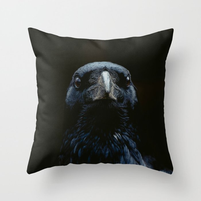 The Raven Couch Throw Pillow by Ingrid Beddoes Photography - Cover (20" x 20") with pillow insert - Indoor Pillow - Image 0