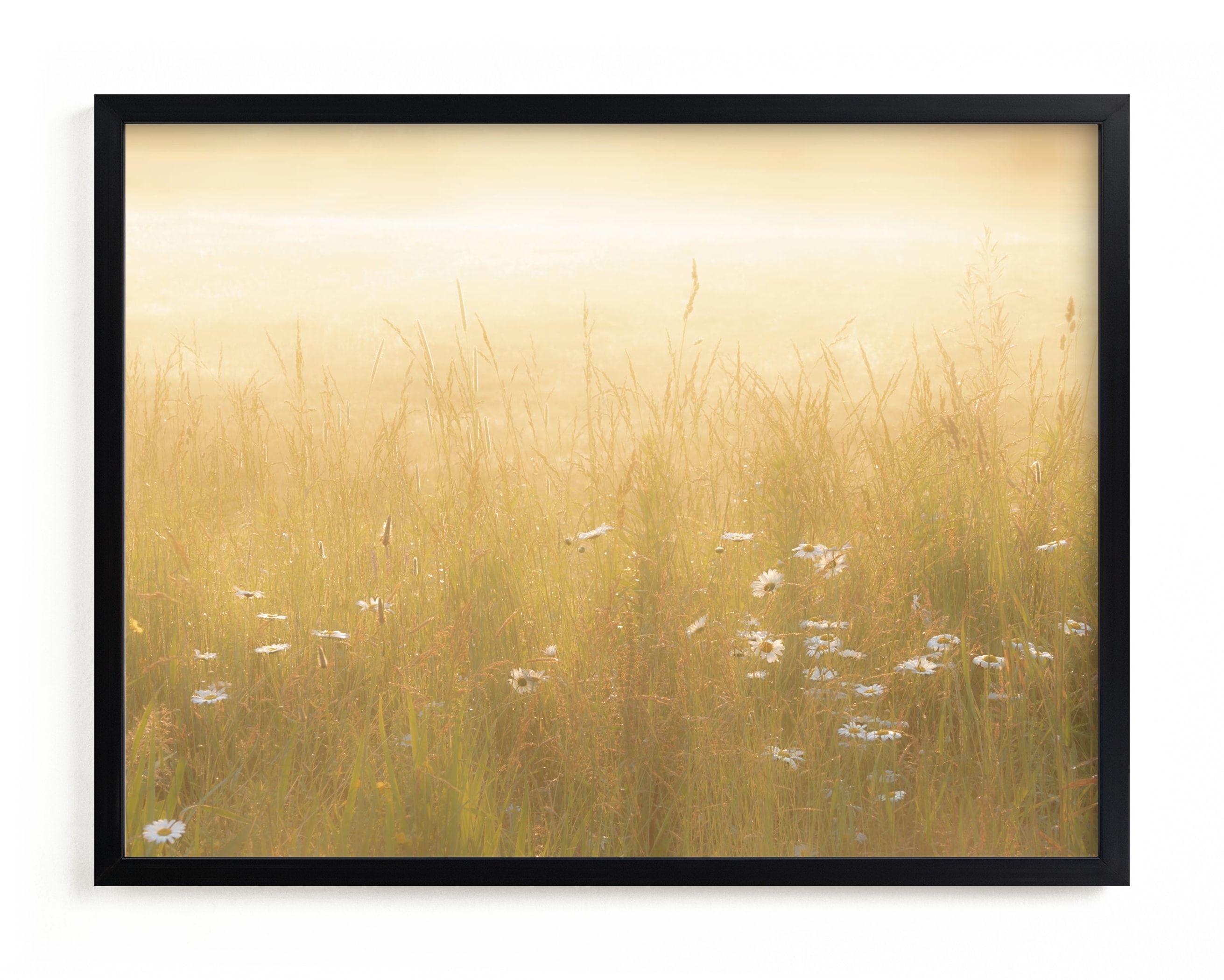 Golden Meadow Limited Edition Fine Art Print 2 - Image 0
