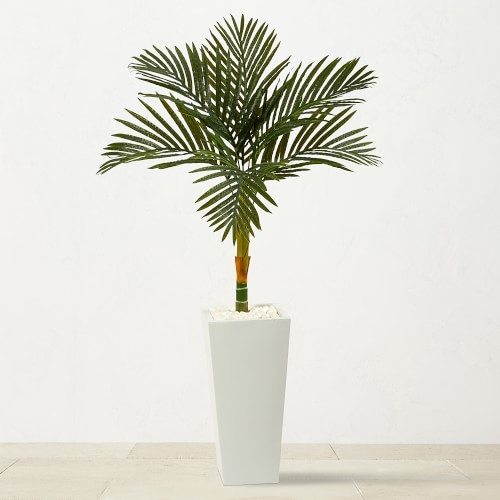 Golden Cane Faux White Palm Tree, 54" - Image 0