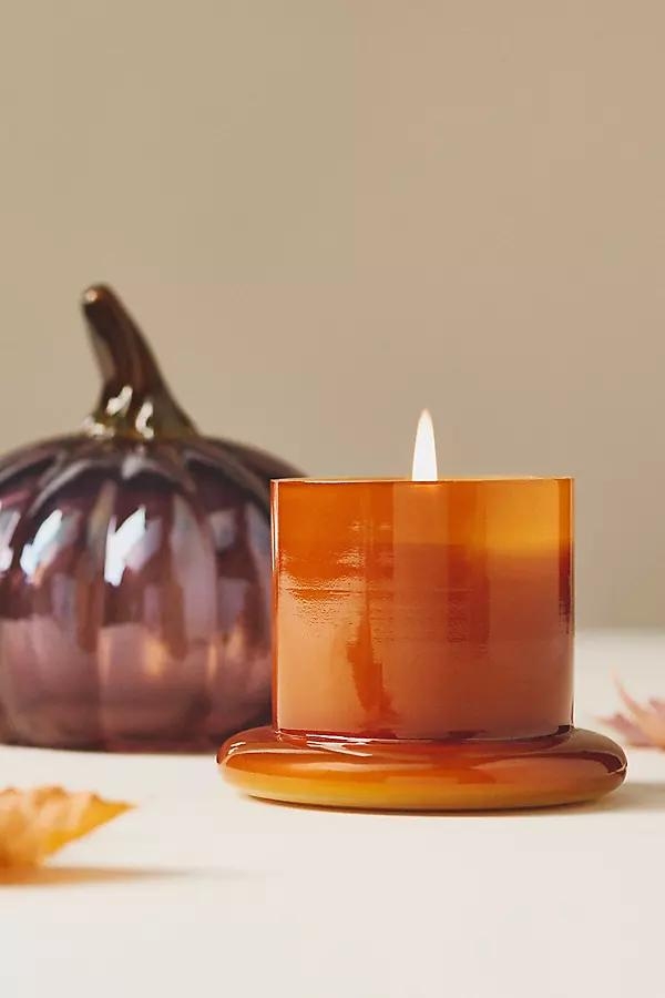 Woody White Birch & Pumpkin Glass Pumpkin Cloche Candle - Image 0