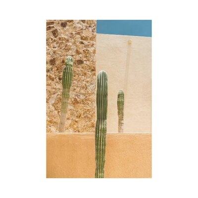 Abstract Cactus by Bethany Young - Wrapped Canvas Photograph Print - Image 0