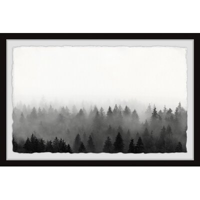 'Treetop Horizon' - Picture Frame Photograph Print on Paper - Image 0
