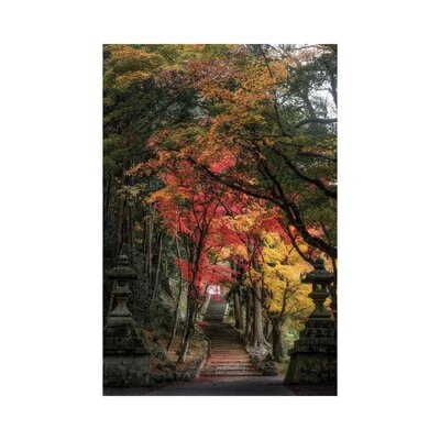Autumn In Japan XXVI by Daisuke Uematsu - Wrapped Canvas Gallery-Wrapped Canvas Giclée - Image 0