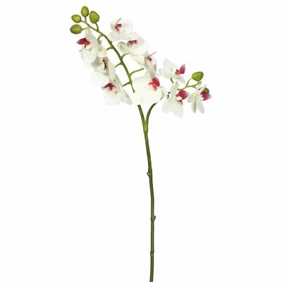 Medium Real Touch Orchid Stem - Image 0