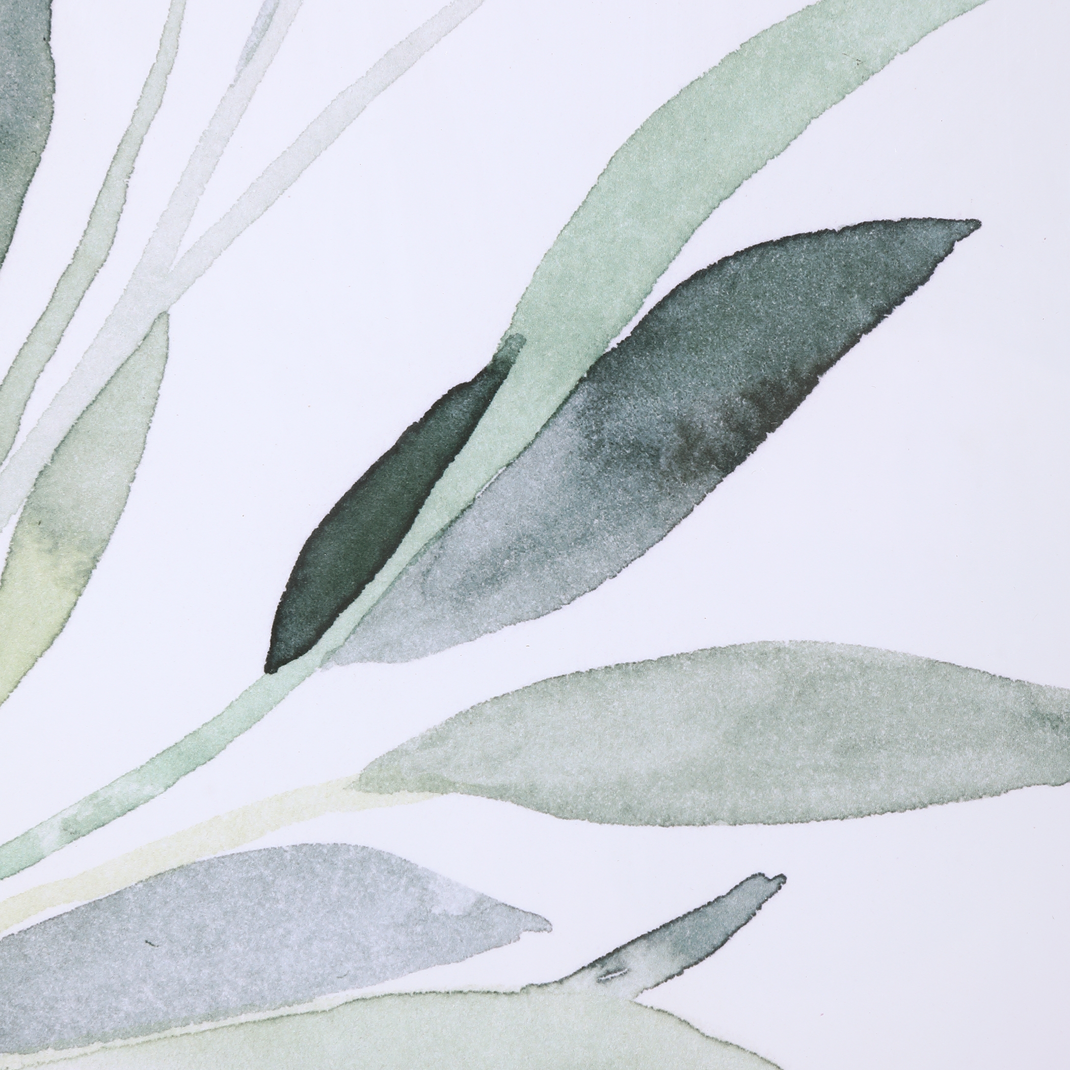Simple Sage Watercolor Prints, S/3 - Image 4
