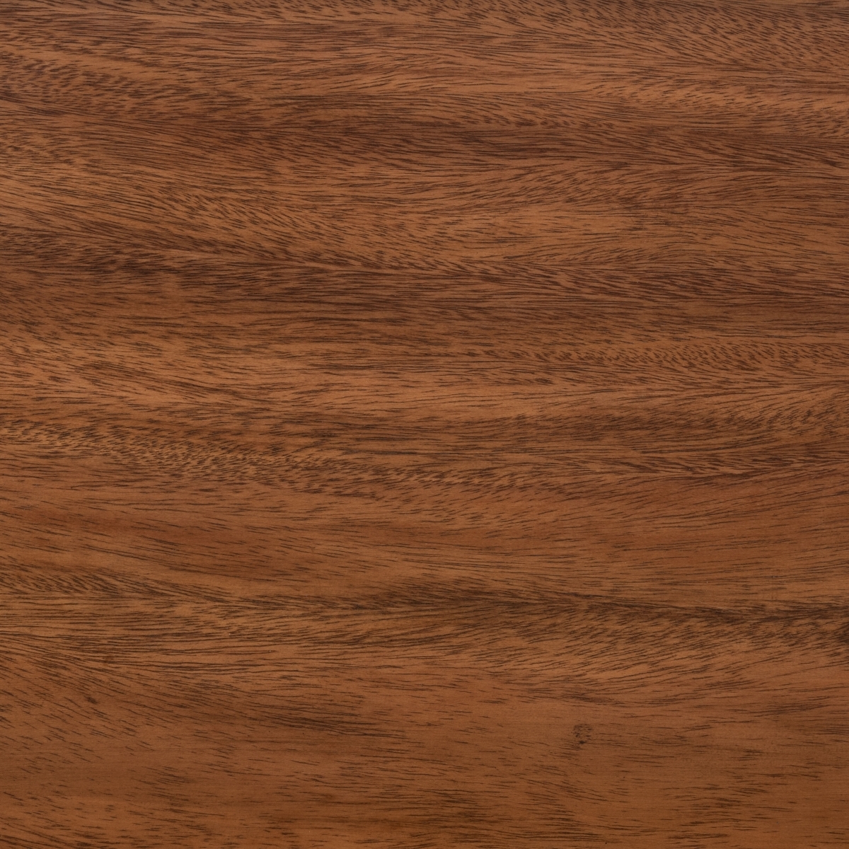 Bernhart Desk - Walnut / Black - Safavieh - Image 4