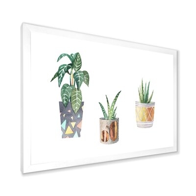 Three Potted Houseplants - Traditional Canvas Wall Art Print-FDP35163 - Image 0