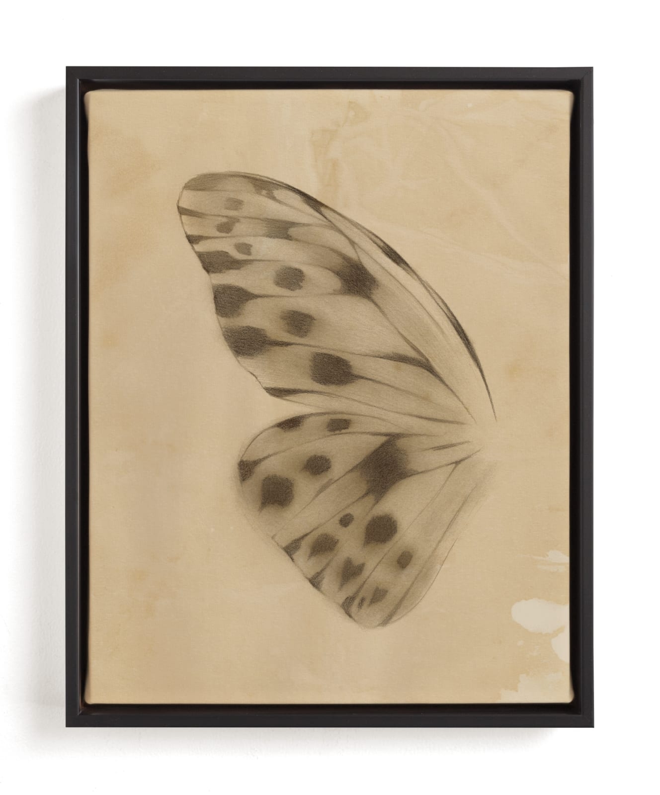 Vintage Mariposa I Limited Edition Fine Art Print 2 - Image 0
