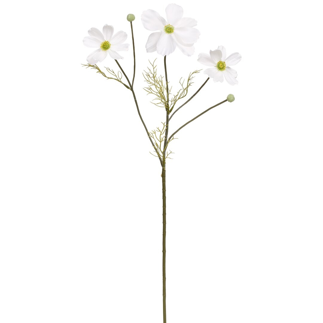 Mark Roberts Cosmos Spray - Image 0